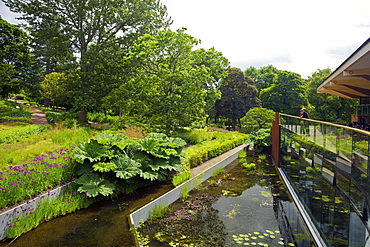 Royal Botanic Garden, Edinburgh, Scotland, United Kingdom, Europe