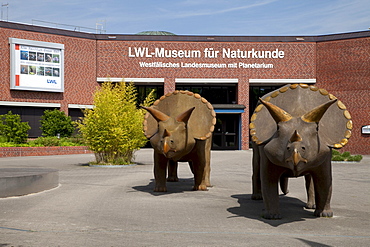 Natural history museum and planetarium, Muenster, Muensterland, North Rhine-Westfalia, Germany, Europa