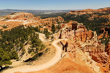 Paths along the rim of the canyon, Bryce Canyon National Park, Utah, USA, North America