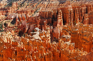 Rocky landscape with hoodoos, Bryce Canyon National Park, Utah, America, USA