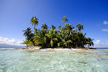 Uninhabited island with palm trees north of the Isla Moron island, San Blas Archipelago, Caribbean Sea, Panama, Central America