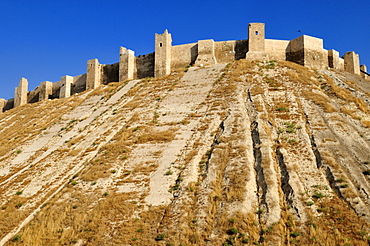 Historic citadel of Aleppo, Syria, Middle East, West Asia