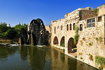 Noria waterwheel on the Orontes River and Nuri, Nouri Mosque in Hama, Syria, Middle East, West Asia