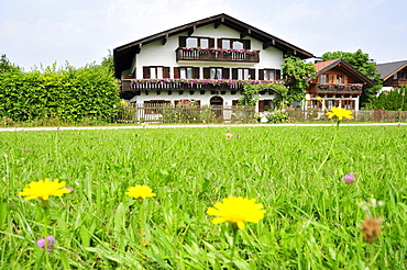 Residential houses on Fraueninsel, Women's Island, Lake Chiemsee, Chiemgau, Bavaria, Germany, Europe