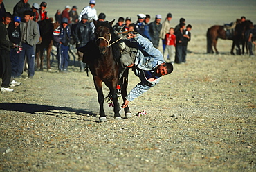 Tenge-il game, horseman catching flowers on the ground while galloping, Golden Eagle Festival, Bayan Oelgii, Altai Mountains, Mongolia, Asia