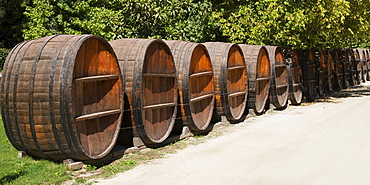 Wine barrels, Concha y Toros wine cellar, Maipu, Santiago, Chile, South America