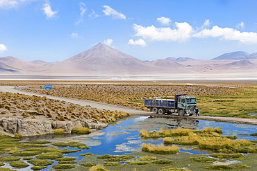 Laguna Colorada, Red Lagoon, Altiplano shallow salt lake, Potosi, Bolivia, South America