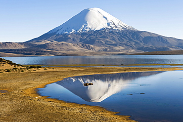 Parinacota volcano reflecting in the Chungara lake, Lauca National Park, UNESCO Biosphere Reserve, Arica and Parinacota Region, Chile, South America