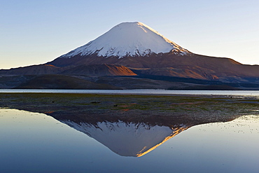 Parinacota volcano reflecting in the Chungara lake, Lauca national park, UNESCO Biosphere Reserve, Arica and Parinacota Region, Chile, South America