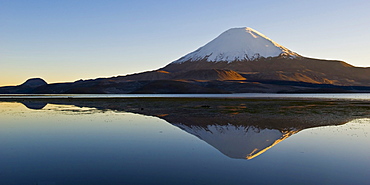 Parinacota volcano reflecting in the Chungara lake, Lauca national park, UNESCO Biosphere Reserve, Arica and Parinacota Region, Chile, South America