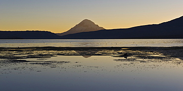 Parinacota volcano, Lauca national park, UNESCO Biosphere Reserve, Arica and Parinacota Region, Chile, South America