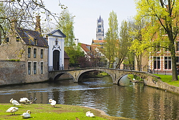 Entrance of the Bruges Beguinage Ten Wijngaerde, Unesco World Heritage Site, historic centre of Bruges, Belgium, Europe