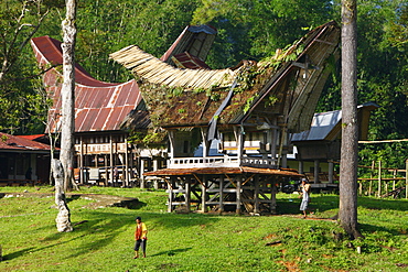 Typical Toraja house, Kete Kesu, Toraja culture, Sulawesi, Indonesia, Asia