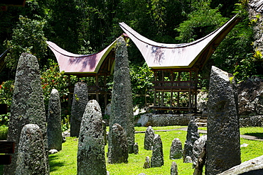 Megalithic complex, Kalimbuang Bori, Toraja culture, Sulawesi, Indonesia, Asia