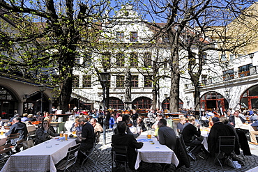 Beer garden in the inner courtyard of the Hofbraeuhaus in Munich, Bavaria, Germany, Europe