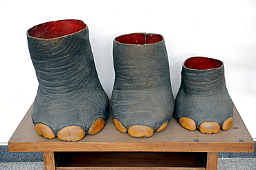 Elephant feet, hunting trophies in the Reunification Palace, Reunion Hall, former seat of government, Ho Chi Minh City, Saigon, South Vietnam, Vietnam, Southeast Asia, Asia