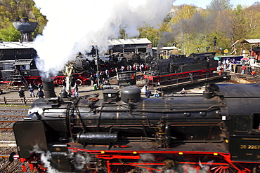 Steam Locomotive Festival, Railway Museum, Dahlhausen, Bochum, North Rhine-Westphalia, Germany, Europe