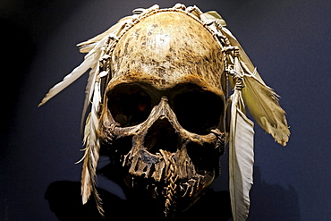 Skull from South America decorated with feathers, new Ruhr Museum, UNESCO World Heritage Site Zeche Zollverein, Essen, Ruhrgebiet region, North Rhine-Westphalia, Germany, Europe