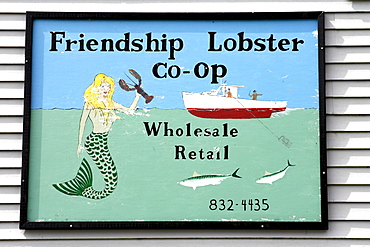 Lobster for sale, sign, Friendship fishing village, Maine coast, New England, USA