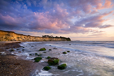 Cliffs on the western beach at sunset, Ruegen island, Mecklenburg-Western Pomerania, Germany, Europe