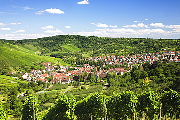 Uhlbach surrounded by vineyards near Stuttgart, Baden-Wuerttemberg, Germany, Europe