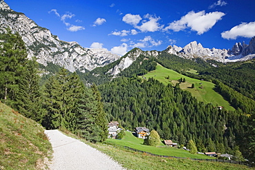 Rosengarten Group Mountains, near Tiers, Dolomites, Trentino-Alto Adige, Italy, Europe