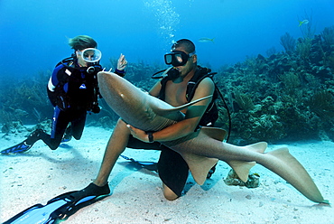 Scuba diver watching her diving instructor stroking the belly of a Nurse Shark (Ginglymostoma cirratum) in way that causes the shark to fall into a state of apathy, barrier reef, San Pedro, Ambergris Cay Island, Belize, Central America, Caribbean