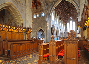 Choir stalls made of oak, St. Cainnech Cathedral or St. Canice's Cathedral, Kilkenny, County Kilkenny, Ireland, British Isles, Europe