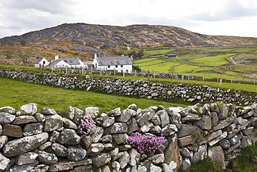 Homestead, Three Castle Head, Mizen Head Peninsula, West Cork, Republic of Ireland, British Isles, Europe