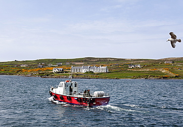 Boat off Valentia Island, Skellig Ring, County Kerry, Ireland, British Isles, Europe