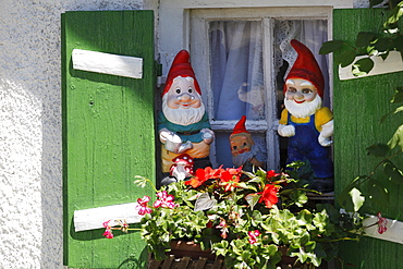 Garden gnomes in a window, Wessling, Fuenfseenland or Five Lakes region, Upper Bavaria, Bavaria, Germany, Europe