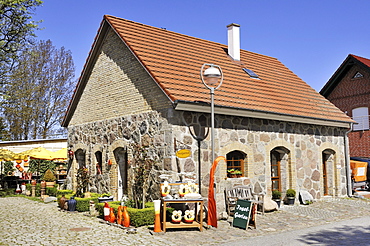 Traditional farmhouse with artist's studio, Putgarten near Cape Arkona, Ruegen Island, Mecklenburg-Western Pomerania, Germany, Europa