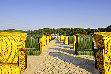 Lined up beach chairs on the sandy beach of the Baltic resort Binz on Ruegen island, Mecklenburg-Western Pomerania, Germany, Europe