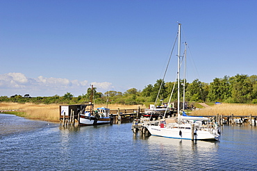 Marina of Kloster on Hiddensee Island, district of Ruegen, Mecklenburg-Western Pomerania, Germany, Europa