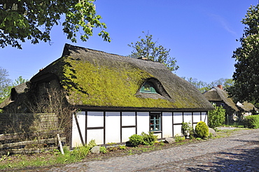 Traditional Low German-built hall house in a village street at Sagard, Ruegen island, Mecklenburg-Western Pomerania, Germany, Europe