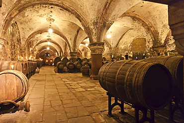 Wine cellar at the Kloster Eberbach Abbey, Eltville am Rhein, Rheingau, Hesse, Germany, Europe