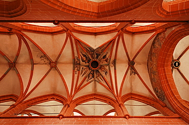 Cross vault of the Heilig Geist Kirche church of the Holy Spirit, late Gothic, in 1400, Heiliggeiststrasse 17, Heidelberg, Baden-Wuerttemberg, Germany, Europe