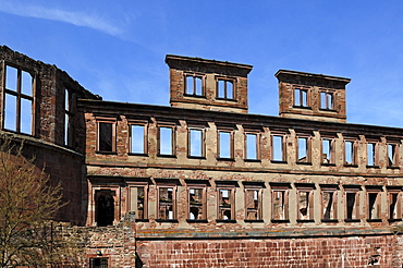 Heidelberg Castle ruins, destroyed in 1689, detail of the ruins of the English Building, built by Friedrich V, 1612, Schlosshof, Heidelberg, Baden-Wuerttemberg, Germany, Europe