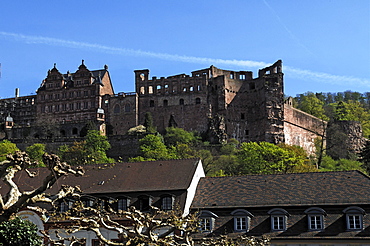 F.l.t.r. Friedrichsbau building, Englischer Bau building built by Frederick V, 1612, and Dicker Turm Tower, Heidelberg, Baden-Wuerttemberg, Germany, Europe