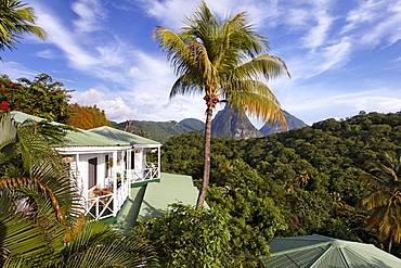 Bungalows, palms, view on the Pitons mountains and the rain forest, Luxury Hotel Anse Chastanet Resort, LCA, St. Lucia, Saint Lucia, Island Windward Islands, Lesser Antilles, Caribbean, Caribbean Sea