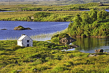 Hut, lake landscape, Connemara, Republic of Ireland, Europe