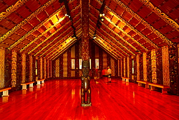 Waitangi Maori Meeting House, interior, North Island, New Zealand