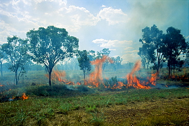 Bushfire, Western Australia, Australia