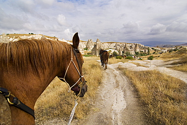 Riders with horses walking through the tufa landscape of the UNESCO World Heritage Site Goreme, Cappadocia, central Anatolia, Turkey, Asia