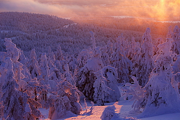 Mt. Brocken in winter at sunset, Harz mountains, Saxony-Anhalt, Germany, Europe