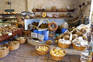 Souvenir shop in the historic town of Limassol or Lemesos, Southern Cyprus, Greek Cyprus, Southern Europe