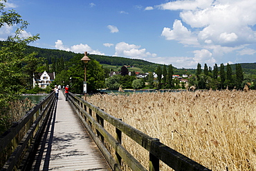 The Werdinsel island with wooden bridge and the chapel in the Untersee lake, Eschenz, Stein am Rhein, Thurgau, Switzerland, Europe