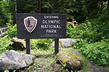 Entrance sign, Olympic National Park, Quinault Area, Washington, USA