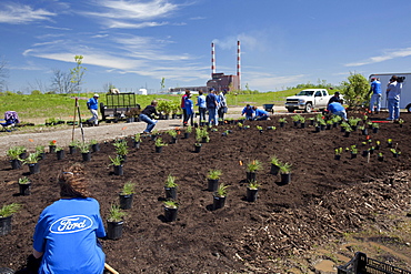 Volunteers from Ford Motor Co. plant an educational garden of native plants at the entry to Humbug Marsh, part of the Detroit River International Wildlife Refuge, at right Detroit Edison's Trenton Channel Power Plant, Trenton, Michigan, USA