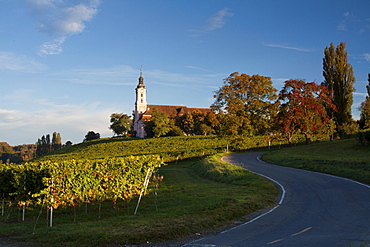 The pilgrimage church Birnau on Lake Constance at dawn surrounded by vineyards, Bodenseekreis district, Baden-Wuerttemberg, Germany, Europe